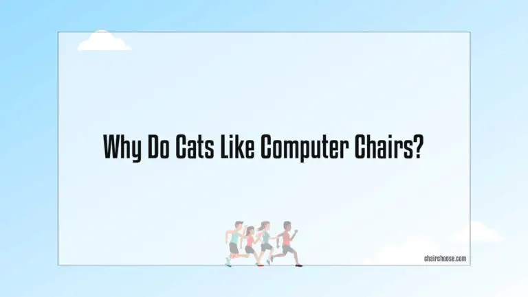 Why Do Cats Like Computer Chairs?